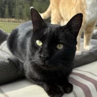 Photo of Gus