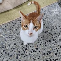 Photo of Bruce