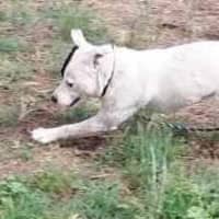 Photo of Captain Feathersword