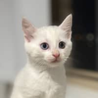 Photo of 💜Greyson 💜