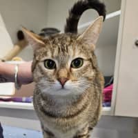 Photo of Jellycat