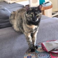 Photo of Baby