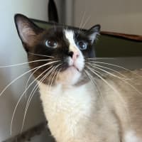 Photo of Ken