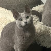 Photo of Elani 😻👑