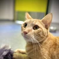 Photo of Sebastian