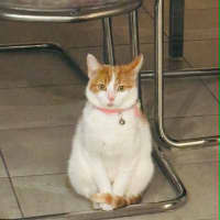 Photo of Miss Cashew Nutz