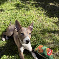 Photo of Bon Bon