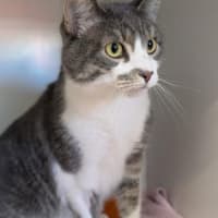 Photo of Boni