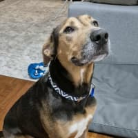 Photo of Ruby