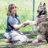 Photo of Kona