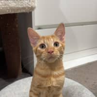 Photo of Louie