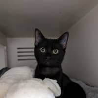 Photo of Solstice