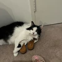 Photo of Barney And Wynstan