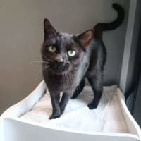 Photo of Tabitha