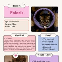 Photo of Polaris