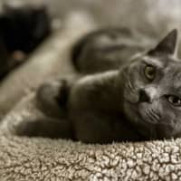 Photo of Hazel And Violet 