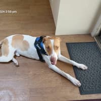 Photo of Zeus