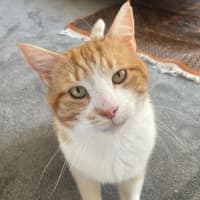 Photo of Willy Wonka