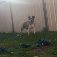 Photo of Bug