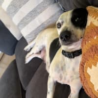 Photo of Minnie