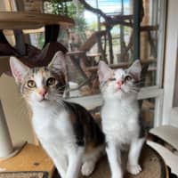 Photo of Marmalade & Honey