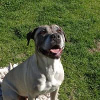 Photo of Cova