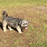 Photo of Belle And Hugo 