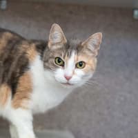 Photo of Jasmina
