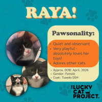 Photo of Raya 