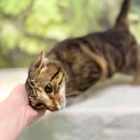 Photo of Abby   Located In Preston