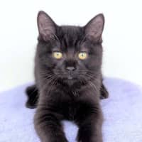 Photo of Jasper