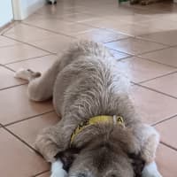 Photo of Sassi