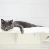 Photo of Banksy