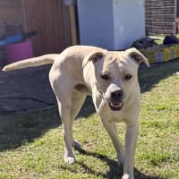 Photo of Astro
