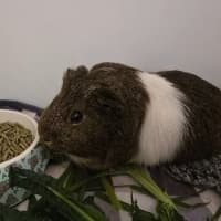 Photo of Bean & Pop Corn