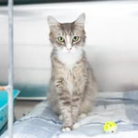 Photo of Pippy