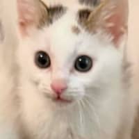 Photo of Kevin