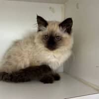 Photo of Mippy