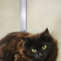 Photo of 🍫 Malteaser 5469 🍫