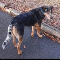 Photo of Wesley’s Theory