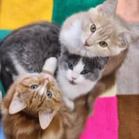 Photo of 👋 Kenneth 6074 👋