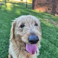 Photo of Charlie