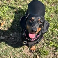 Photo of Grace