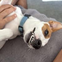 Photo of Winston