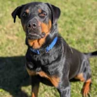 Photo of Max