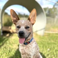 Photo of Halo 