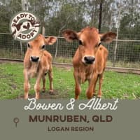 Photo of Bowen & Albert