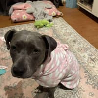 Photo of Bonnie