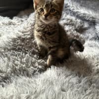 Photo of Tabitha