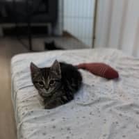 Photo of George   Reviewing Applications